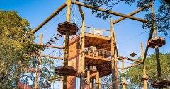 Updated - Coral Crater - Oahu: Aerial Challenge Course - Kapolei
