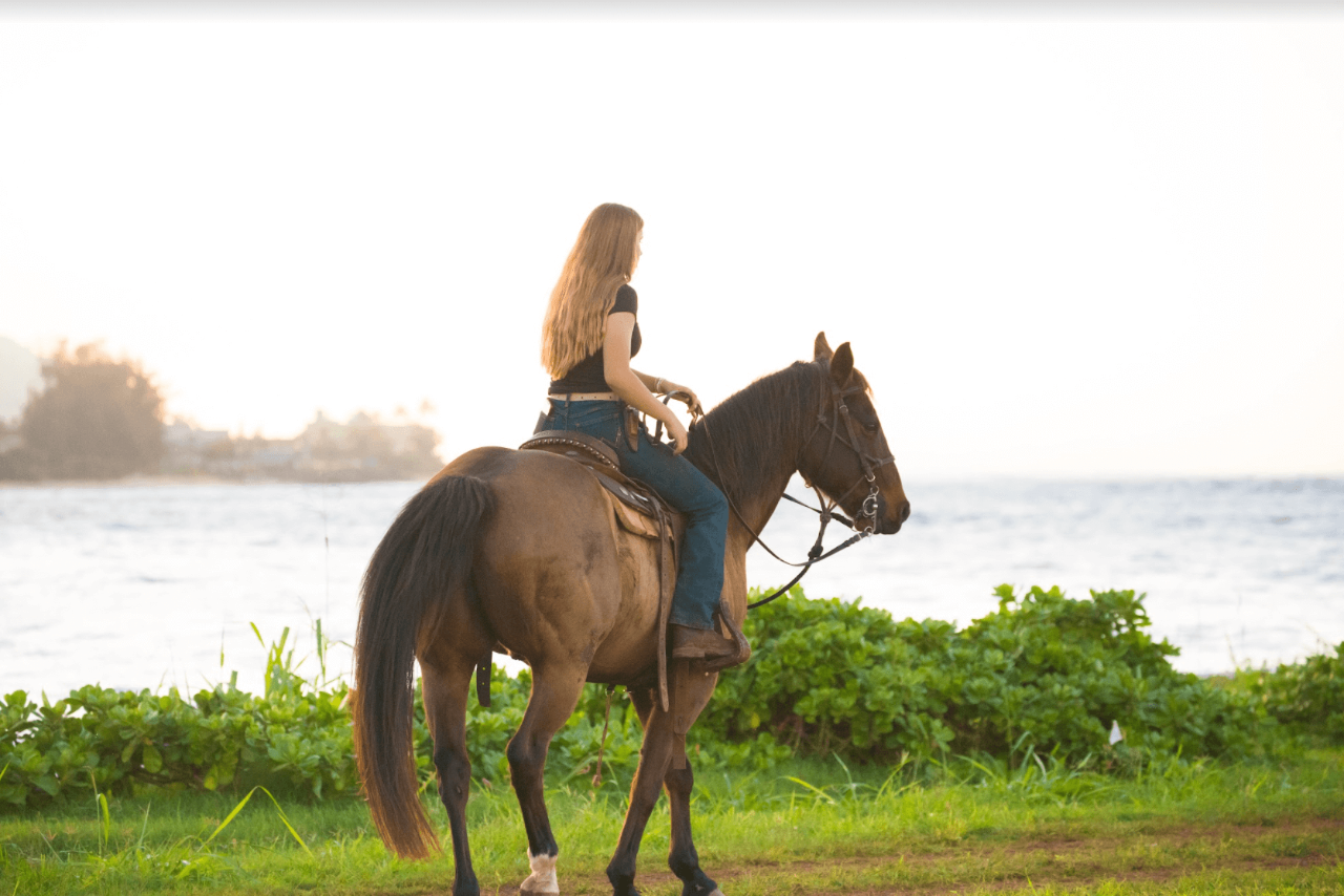 North Shore Stables - Oahu: 1-Mile Beachfront Trail Ride