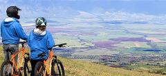 Updated - Bike Maui - Maui: Haleakala Self-Guided Express Bike Tour