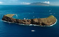 Updated - Boss Frog’s Malolo - Maui: Malolo Afternoon Snorkel Trip to Molokini or Coral Gardens - Maalaea Harbor