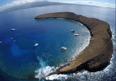 Updated - Boss Frog’s Calypso - Maui: Molokini & Turtle Town Snorkel Adventure - Maalaea Harbor