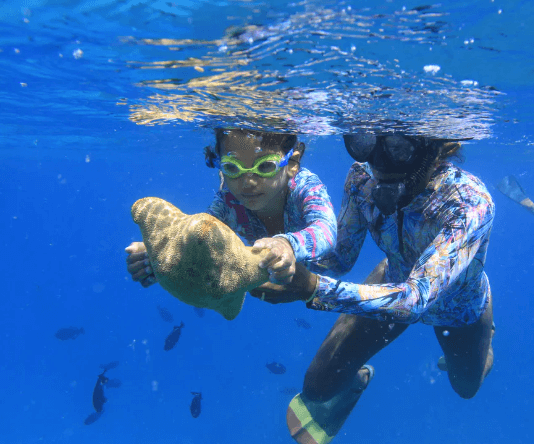 catamaran sail and snorkel from ko olina