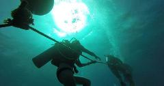 OFFLINE - FH Rainbow Scuba Hawaii - Certified SCUBA Divers