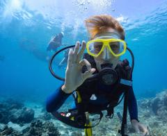 Updated - Hawaiian Diving Adventures - Oahu: Deep and Shallow Dive