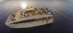 FH Pacific Whale Foundation - Sunset Dinner Cruise - Premium Seating - Lahaina