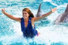 Sea Life Park - Dolphin Royal Swim