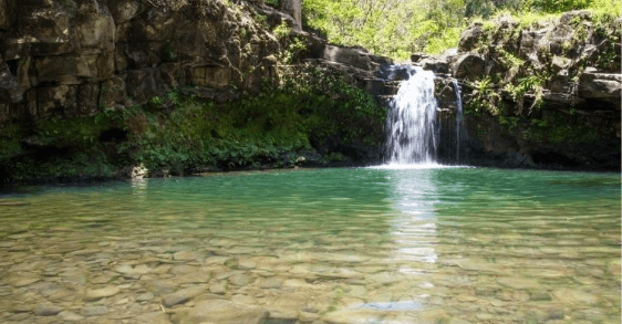 Updated - Hike Maui - Maui: Waterfall & Rainforest Hiking Adventure - Meet in Central Maui