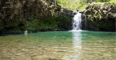 Updated - Hike Maui - Maui: Waterfall & Rainforest Hiking Adventure - Meet in Central Maui