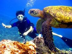 Scuba Luv Maui - Maui: Guided Reef Dive