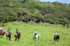 Updated - Gunstock Ranch - Oahu: Horseback Planter’s Experience - North Shore
