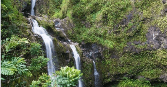 Updated - Hike Maui - Maui: Ultimate Hana Full-Day Adventure Tour