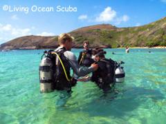 Living Ocean Scuba - Hanauma Bay Scuba Diving Tour - Hawaii Kai
