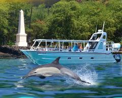 Hang Loose Boat Tours - Big Island: Wild Dolphin Adventure & Reef Snorkel