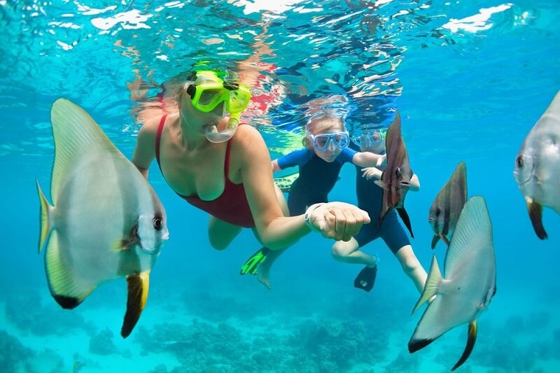 Updated - Hawaii Nautical - Big Island: Mauna Kea Two-Stop Sealife Snorkel - Kawaihae Harbor