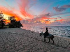 Updated - Hawaii Polo Trail Rides - Oahu: Sunset Horseback Rides - Waialua