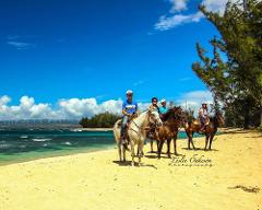 Updated - Hawaii Polo Trail Rides - Oahu: Sunshine Horseback Rides - Waialua