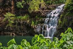 Updated - Go Hawaii Tours - Oahu: Hidden Gems of Oahu with Waimea Botanical Garden