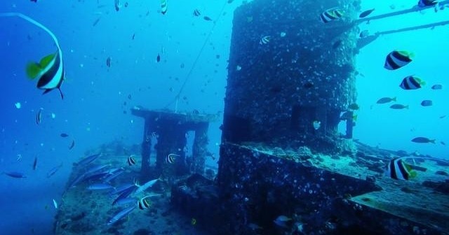 Updated - Banzai Divers Hawaii - Oahu: 2 Tank Shipwreck and Reef Dives - Waikiki