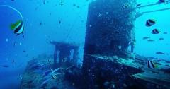 Updated - Banzai Divers Hawaii - Oahu: 2 Tank Shipwreck and Reef Dives - Waikiki