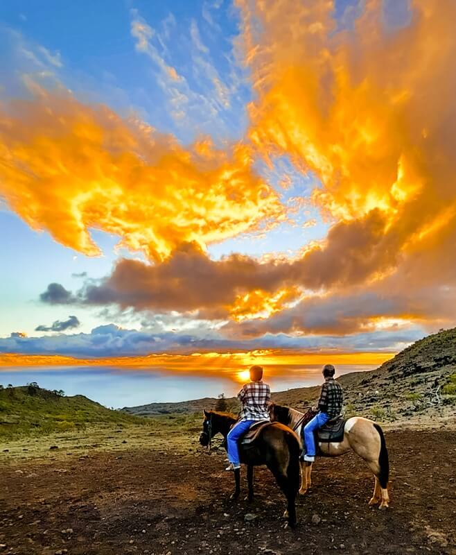 Updated - Palehua Trail Rides - Oahu: Private Sunset Horseback Rides – Kapolei
