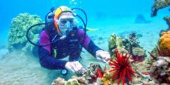 Scuba Luv Maui - Maui: Introductory Scuba Dive
