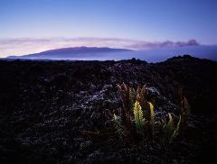 Updated - Kailani Tours - Big Island: Deluxe Big Island Day Tour: Volcanoes and Dinner