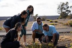 Kailani Tours - Big Island: Volcano Shuttle Tour (Waikoloa Departure)