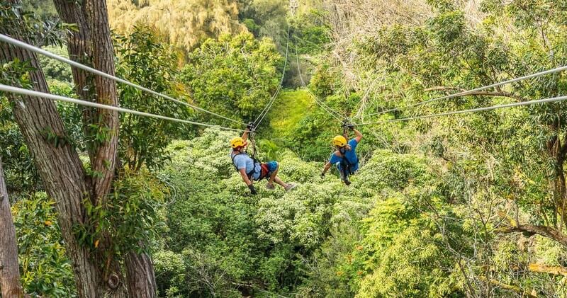 Kohala Zipline - Big Island: Private Ohana Outing: Kohala Zip & Dip