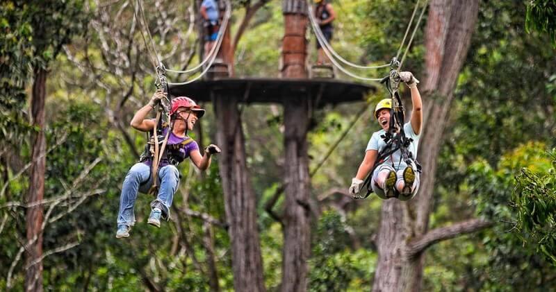 Updated - Kohala Zipline - Big Island: Kohala Canopy Adventure