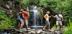 Updated - Hawaii Forest & Trail - Big Island: Private Ohana Outing: Kohala Waterfalls Adventure – Kona