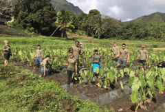 Updated - Kualoa Ranch - Oahu: Malama ‘Aina (Care for the Land) Experience