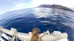 FH Pacific Whale Foundation - Maui: Lanai Snorkel Dolphin Watch