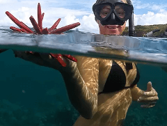 Makai Adventures - Maui: Lanai Snorkeling & Dolphin Watch