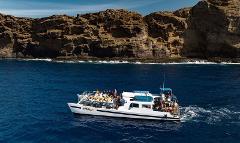 Updated - Boss Frog’s Malolo - Maui: Malolo Morning Molokini & Turtle Town Snorkel Adventure - Maalaea Harbor