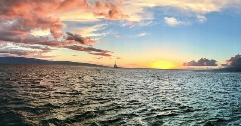 Boss Frog’s Malolo - Maui: Malolo Sunset Dinner Cruise - Maalaea Harbor