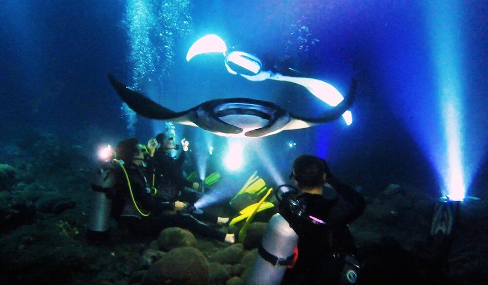 manta rays hawaii big island