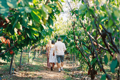 Updated - Maui Chocolate Tour - Maui: Cacao Farm Tour & Treehouse Lunch