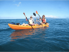 Maui Ocean Sports - Maui: Lahaina Paddle