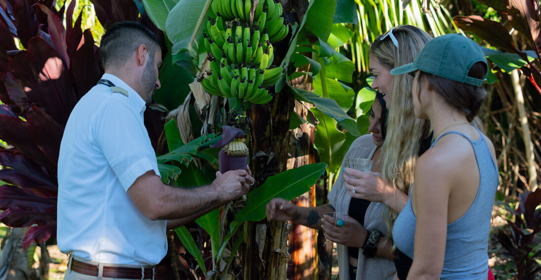 Maverick Helicopters - Maui: Hana Rainforest Experience