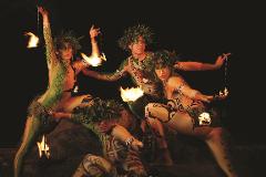 Polynesian Adventure Tours - Kauai: Luau Kalamaku Show Only Gold Package