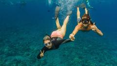 FH Pacific Whale Foundation - Maui: Molokini Wild Side Snorkel