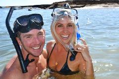 Updated - Blue Dolphin Charters - Kauai: NaPali Coast Rafting and Snorkeling - Port Allen