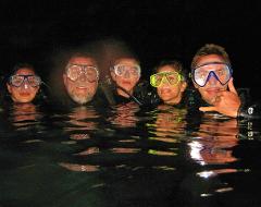 Tiny Bubbles Scuba - Maui: Night Dive (Certified Divers) - West Maui
