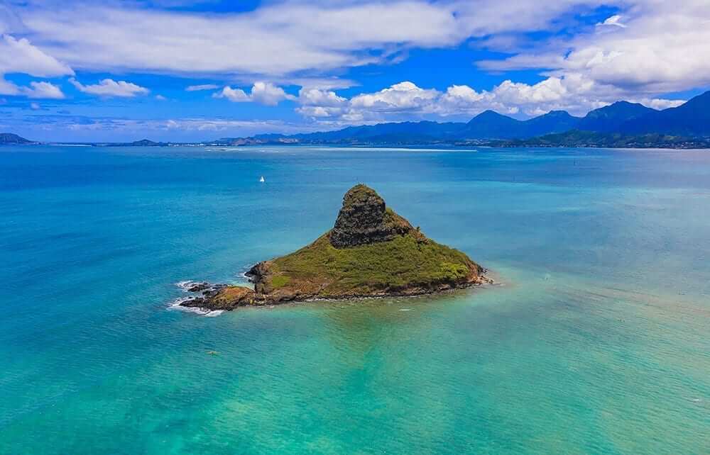 Polynesian Adventure Tours - Oahu Grand Circle Island with Blowhole, Waimea Valley & Dole Plantation (7B)