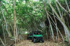 Gunstock Ranch - Oahu: Private Off-Road Planter’s Experience - North Shore