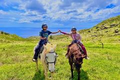 Updated - Palehua Trail Rides - Oahu: Sunshine Horseback Rides - Kapolei