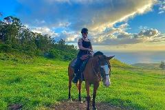 Updated - Palehua Trail Rides - Oahu: Private Sunshine Horseback Rides - Kapolei