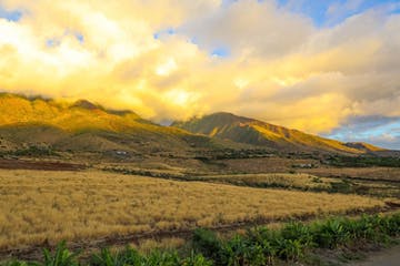 Updated - Paradise Eco-Adventures (Maui Dragon Fruit Farm) - Maui: Afternoon Tropical Fruit Tasting Walking Tour