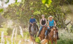 Polynesian Adventure Tours - Oahu: North Shore Horseback Riding/Legacy Forest (OA2)