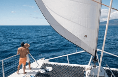 Sail Maui - Maui: Private Charter Sail - Lahaina Harbor